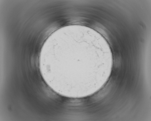 X0000113891338200910221409