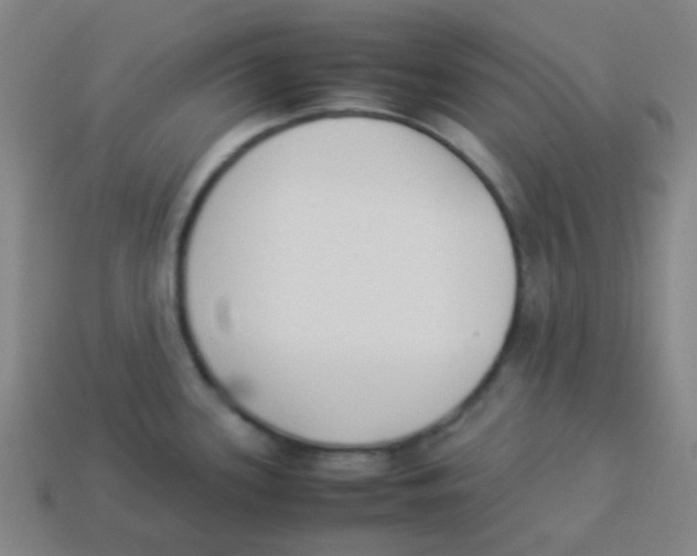X0000113891339200910221409