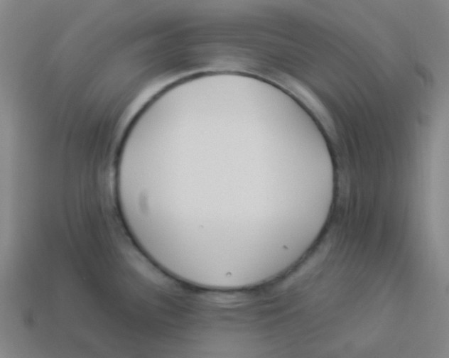 X0000113891340200910221409