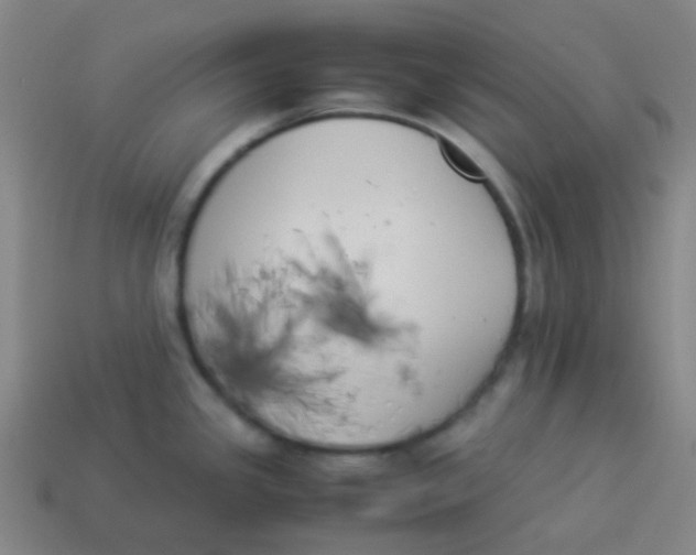 X0000113891341200910221409