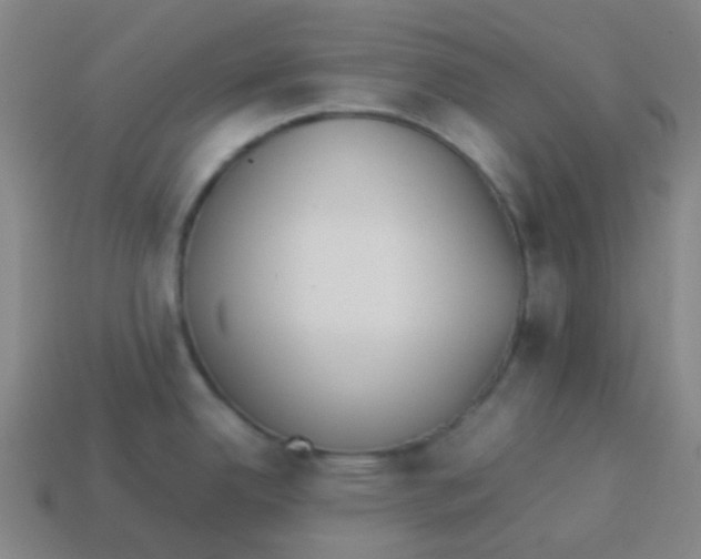 X0000113891342200910221409