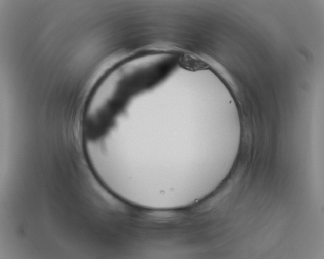 X0000113891343200910221409