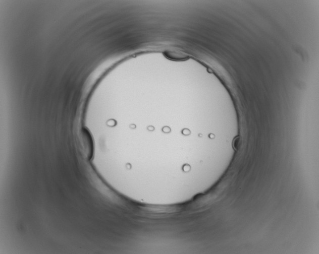 X0000113891344200910221409