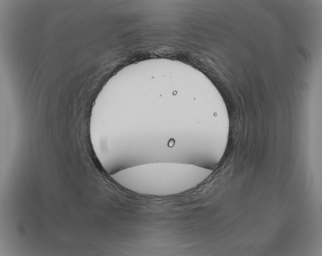 X0000113891345200910221408