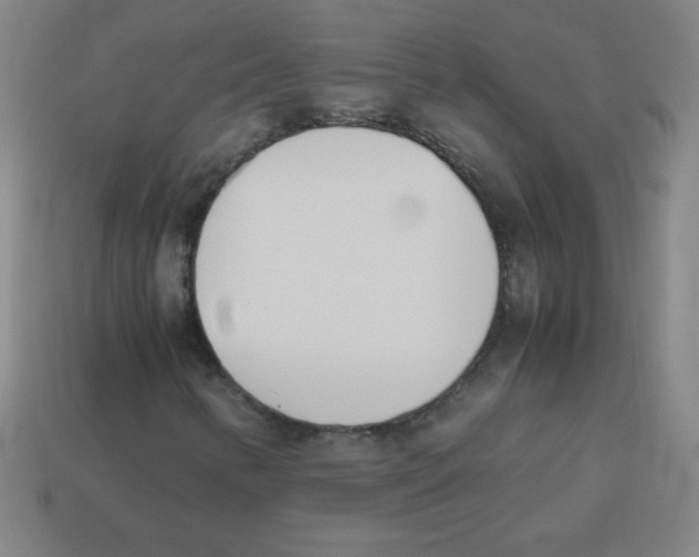 X0000113891346200910221408