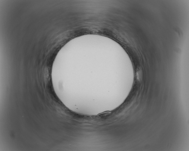 X0000113891347200910221408