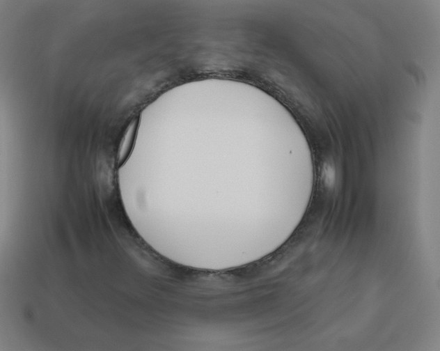 X0000113891348200910221408
