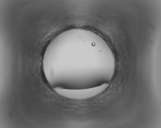X0000113891349200910221408