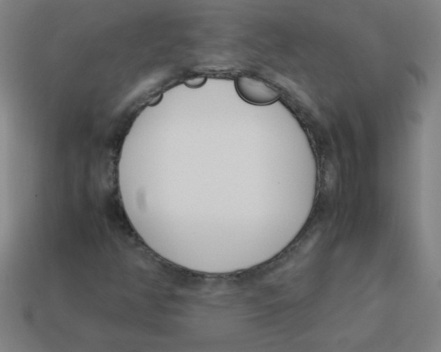 X0000113891350200910221408