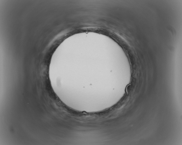 X0000113891351200910221408