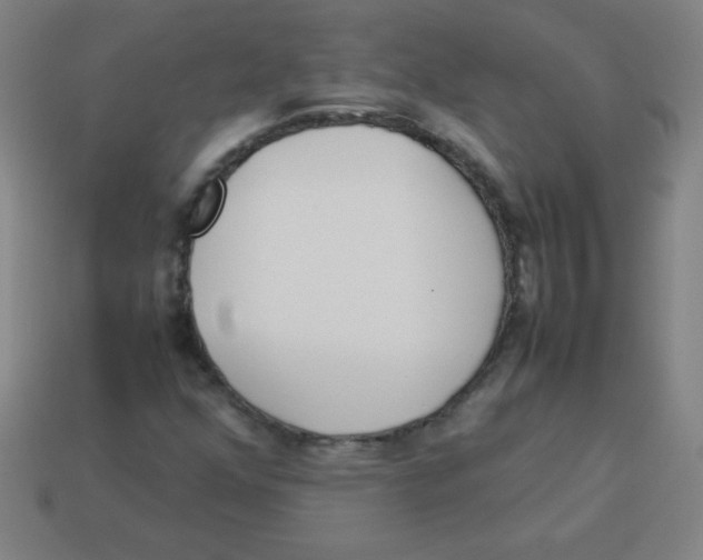 X0000113891352200910221408