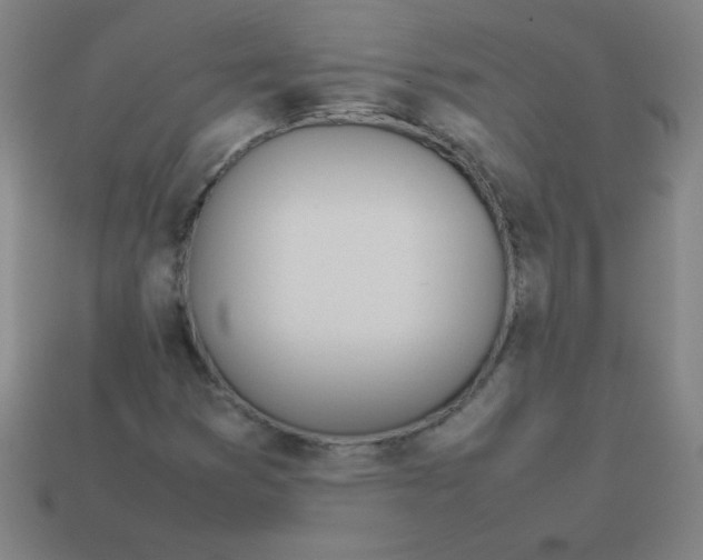 X0000113891353200910221408