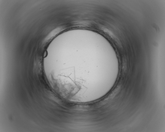 X0000113891354200910221408