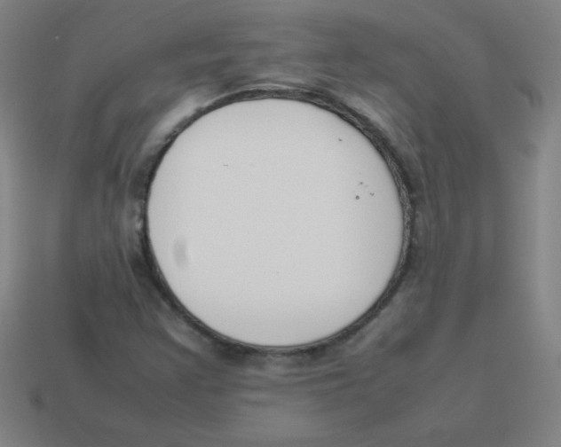 X0000113891355200910221408