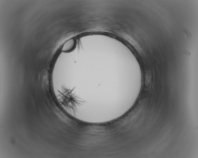X0000113891356200910221408
