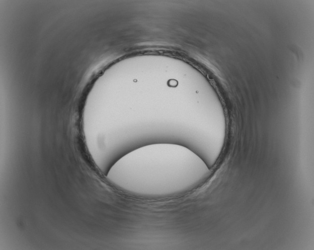 X0000113891357200910221408
