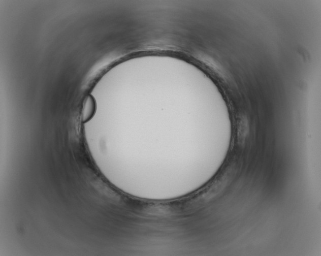 X0000113891358200910221408