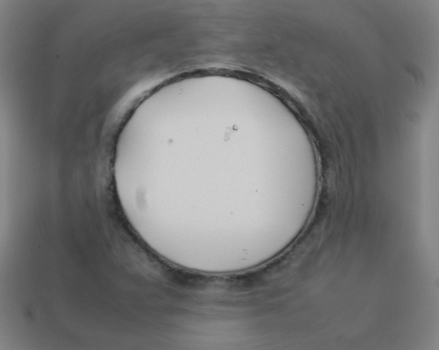 X0000113891359200910221408