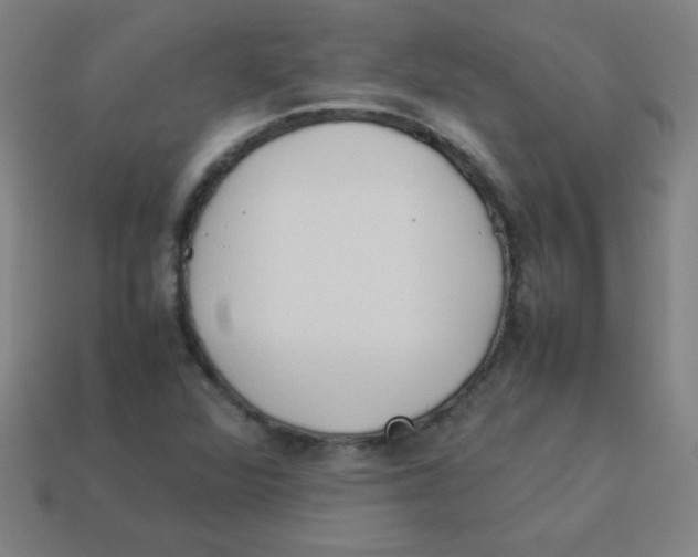 X0000113891360200910221408