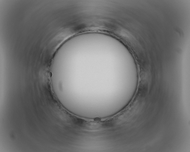 X0000113891361200910221408