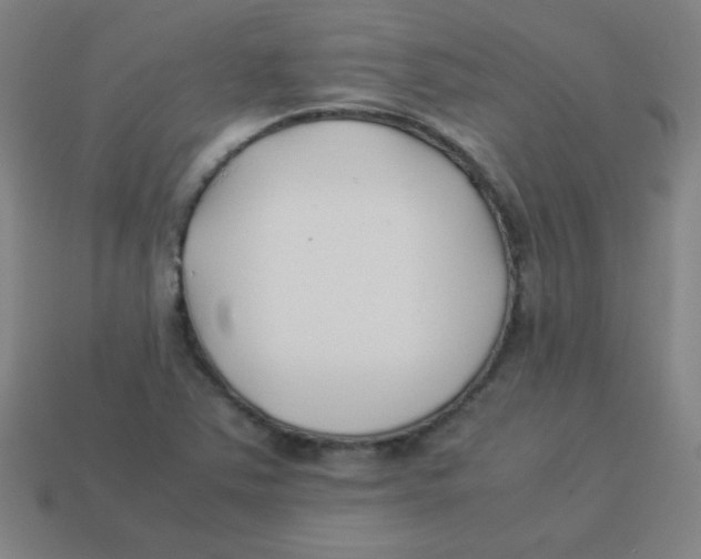 X0000113891363200910221408