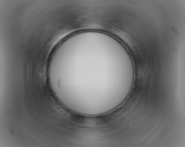 X0000113891364200910221408