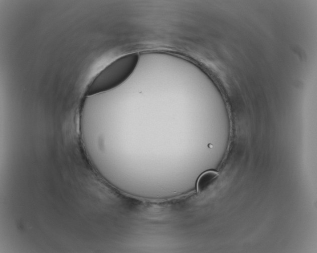 X0000113891365200910221408