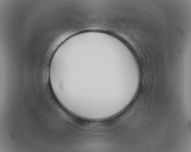 X0000113891367200910221408
