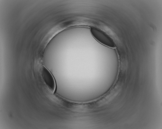 X0000113891369200910221408