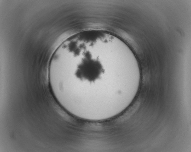 X0000113891370200910221408