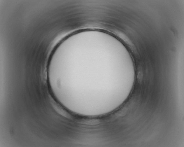 X0000113891372200910221408