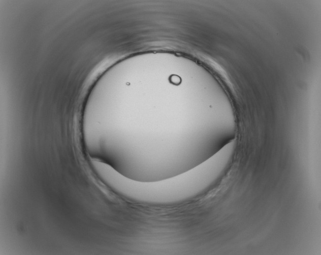 X0000113891373200910221408