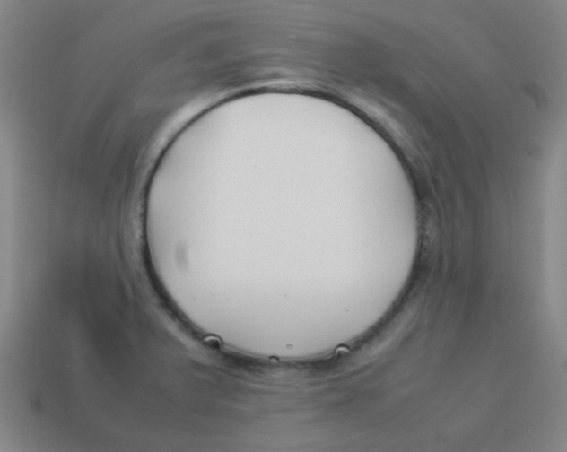 X0000113891375200910221408