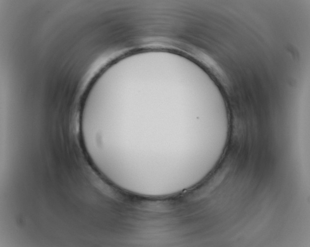 X0000113891376200910221408