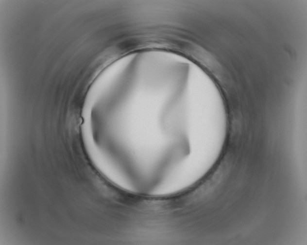 X0000113891377200910221408