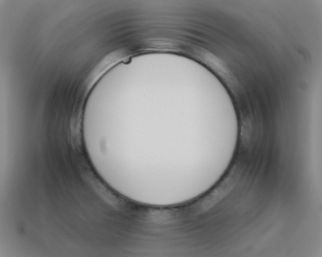 X0000113891378200910221408