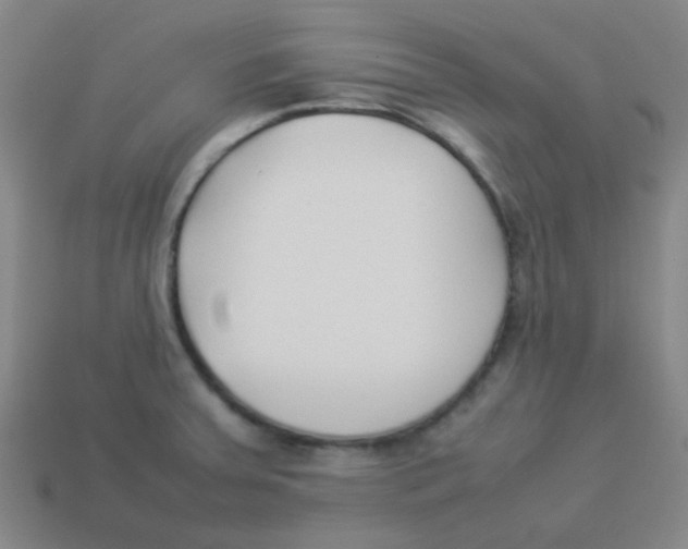 X0000113891379200910221408
