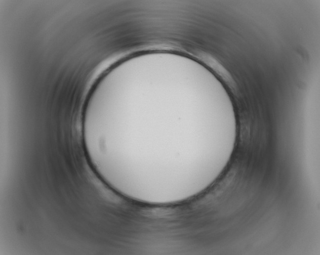 X0000113891380200910221408