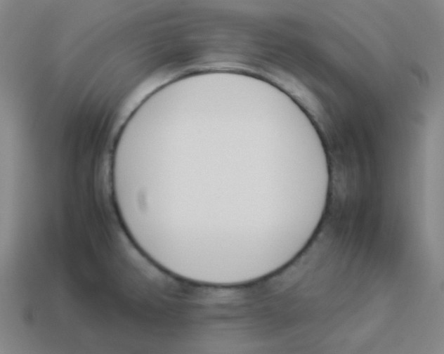 X0000113891382200910221408