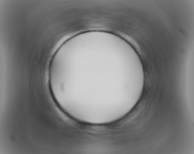 X0000113891383200910221408