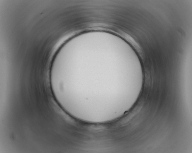 X0000113891384200910221408