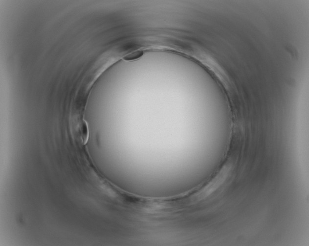 X0000113891385200910221408