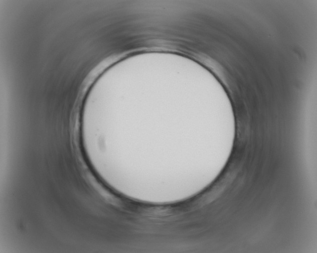 X0000113891387200910221407