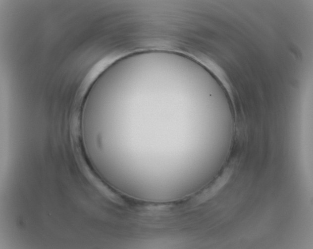 X0000113891389200910221407