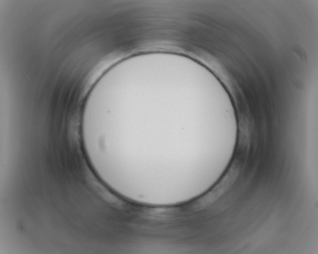 X0000113891390200910221407