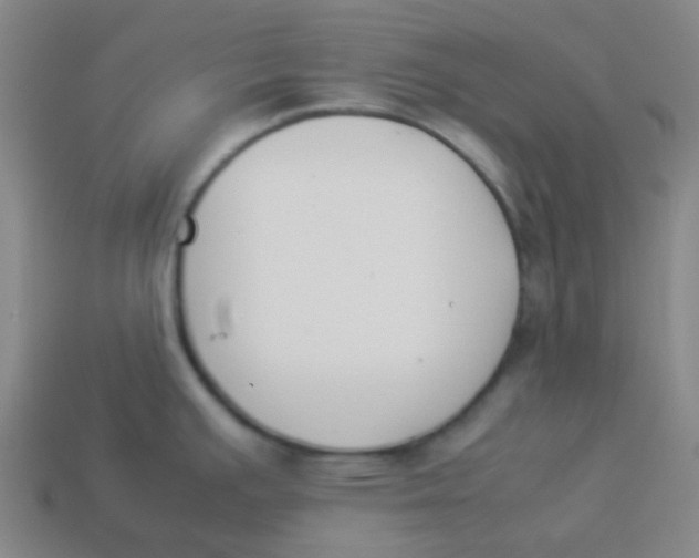 X0000113891391200910221407