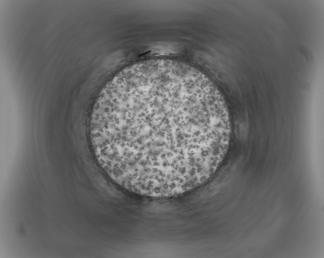 X0000113891393200910221407