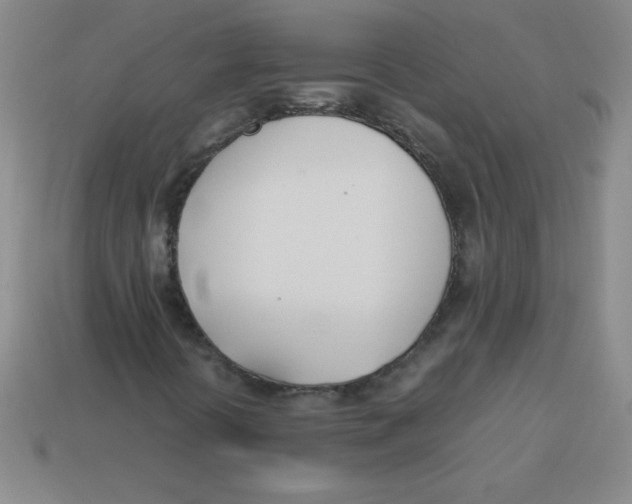 X0000113891394200910221407