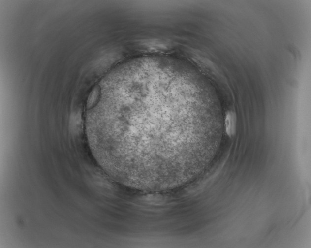 X0000113891395200910221407