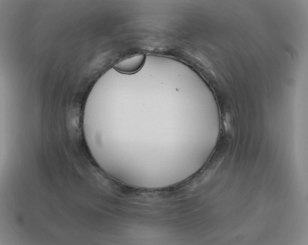X0000113891396200910221407